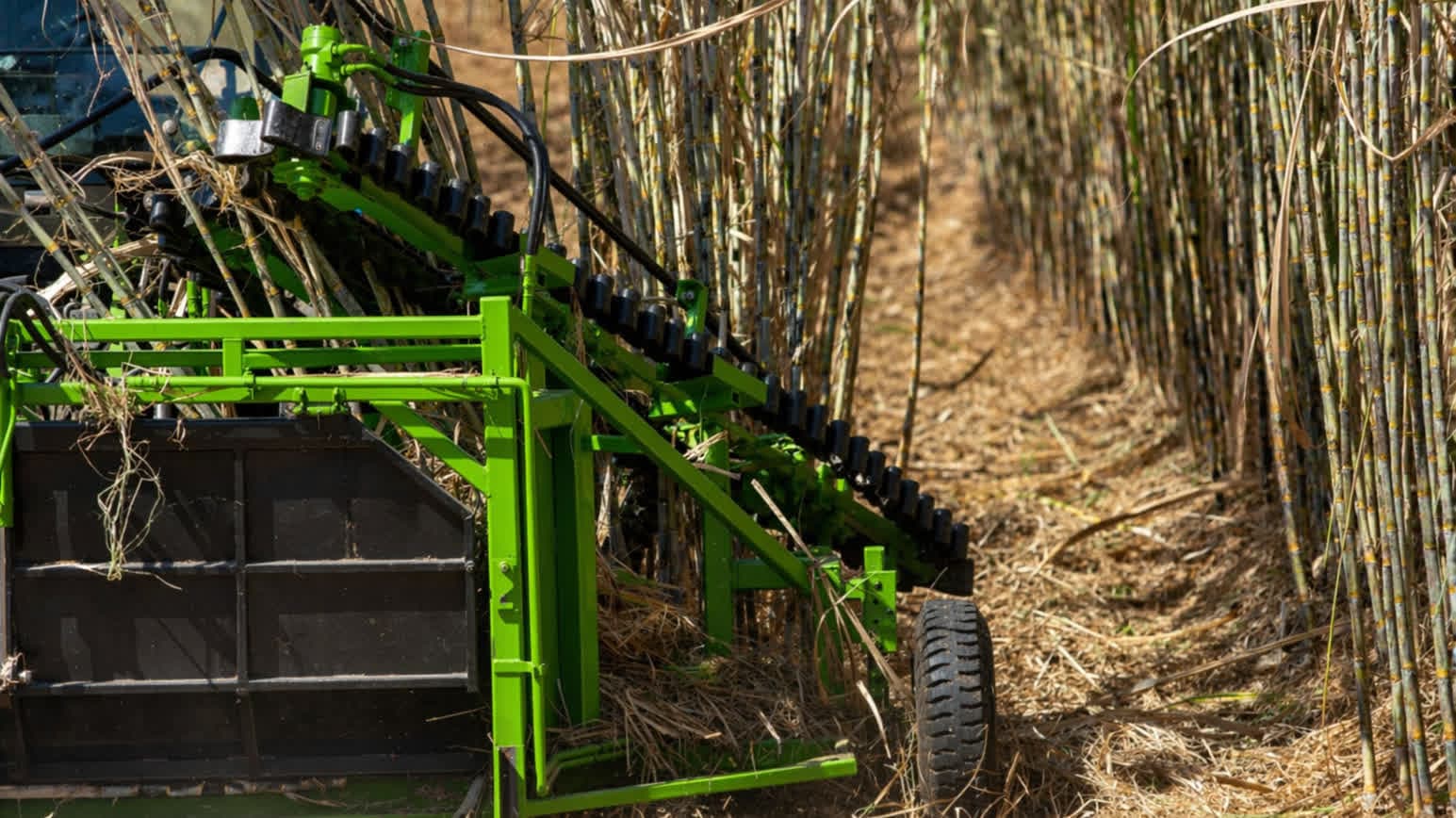 Agronegócio: Transformação data-driven com plataforma de Big Data, governança robusta e API Marketplace em AWS